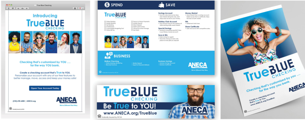 ANECA True Blue Campaign Email, flier and brochure